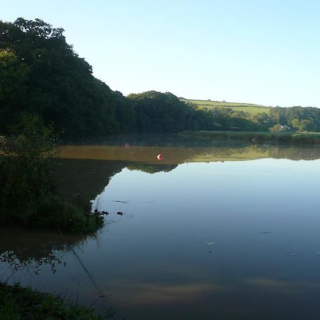 Rumleigh Farm Bere Alston Bagian luar foto