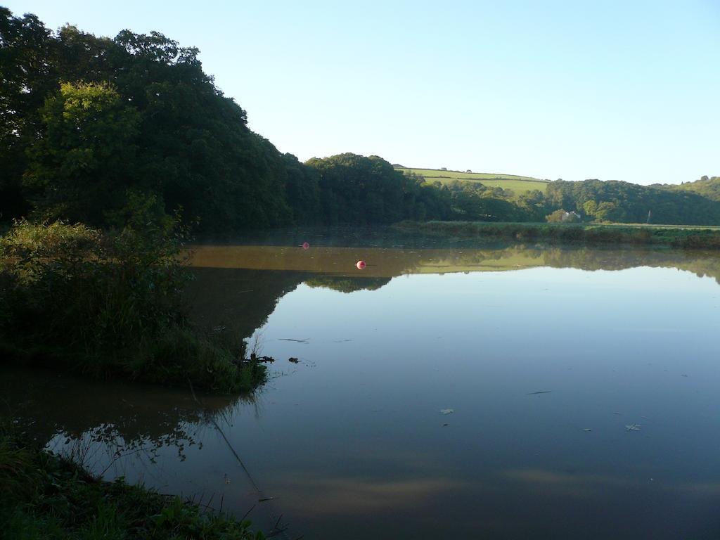 Rumleigh Farm Bere Alston Bagian luar foto